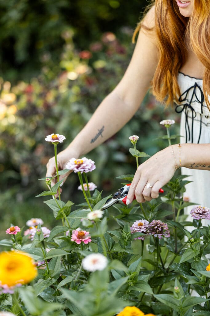 Florist Branding Photography in Boyertown PA at Flower Farm, Detail Action Shot: Hand Cutting Flower Stem