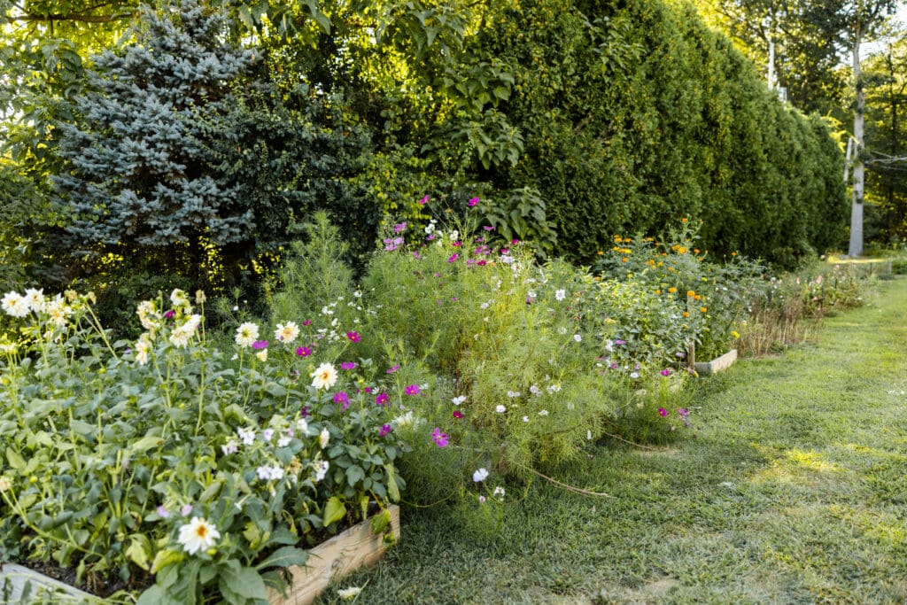 Florist Branding Photography in Boyertown PA at Flower Farm, Flower Field