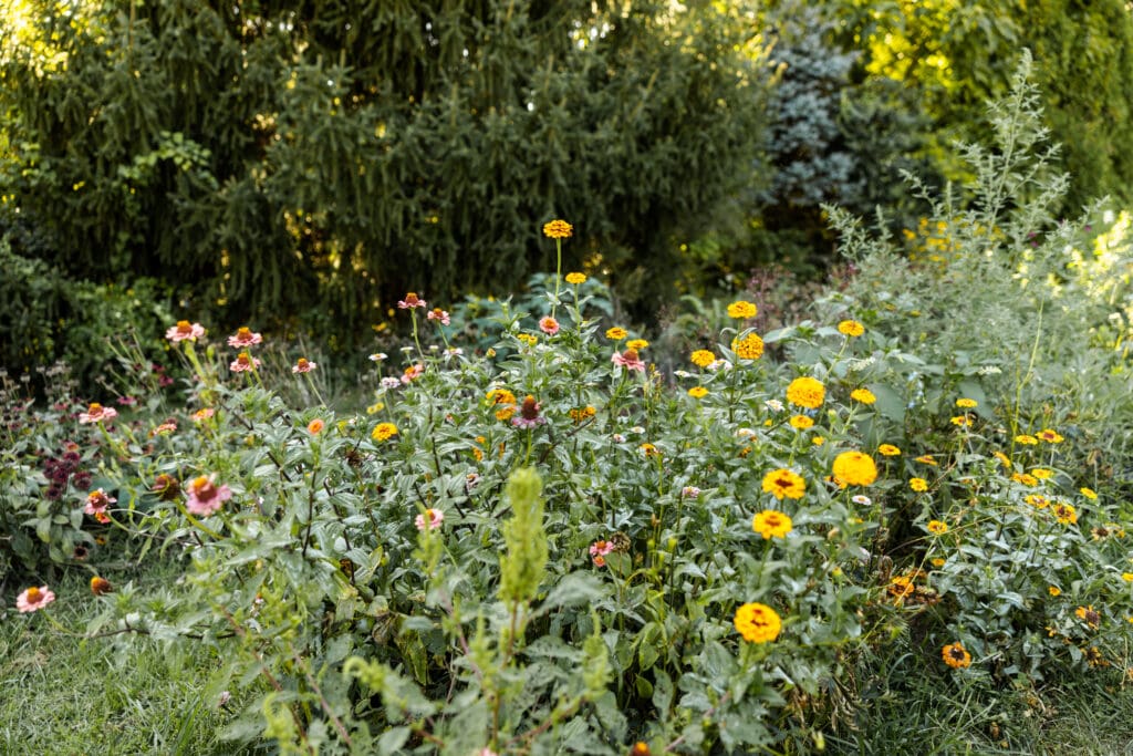 Florist Branding Photography in Boyertown PA at Flower Farm, Flower Field