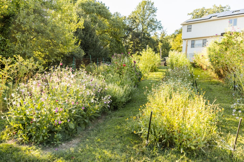 Florist Branding Photography in Boyertown PA at Flower Farm, Flower Field
