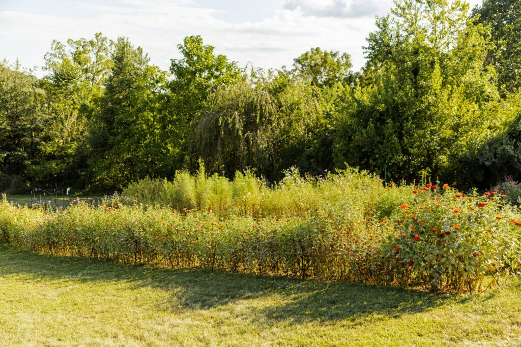 Florist Branding Photography in Boyertown PA at Flower Farm, Flower Field